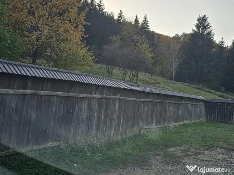 Casa de vanzare langa padure - 1
