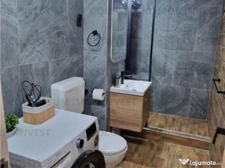 Apartament 2 camere de inchiriat Centrul Civic, Bulevardul Victoriei - 2