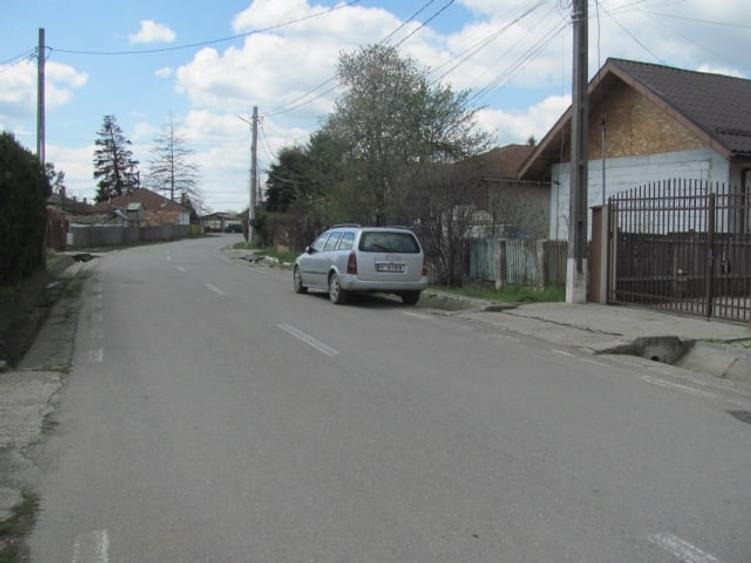 Cornetu - Lalelelor, Stradal - 7