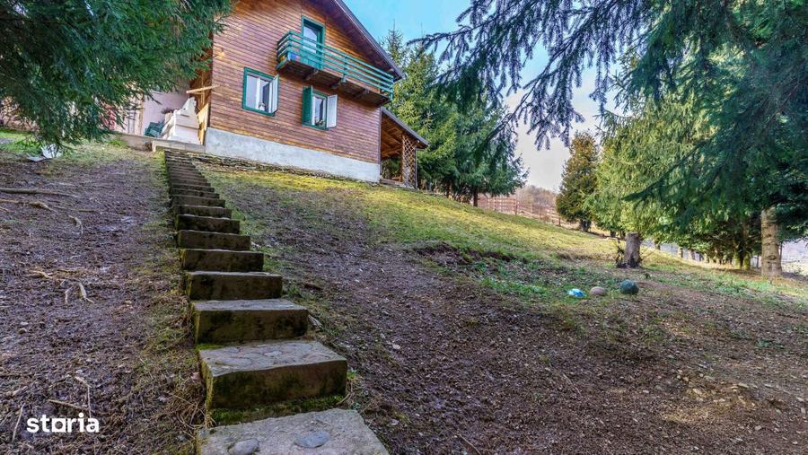 Comision 0% Casa de vacanta in Muntele Rece | Priveliste Panoramica - 4