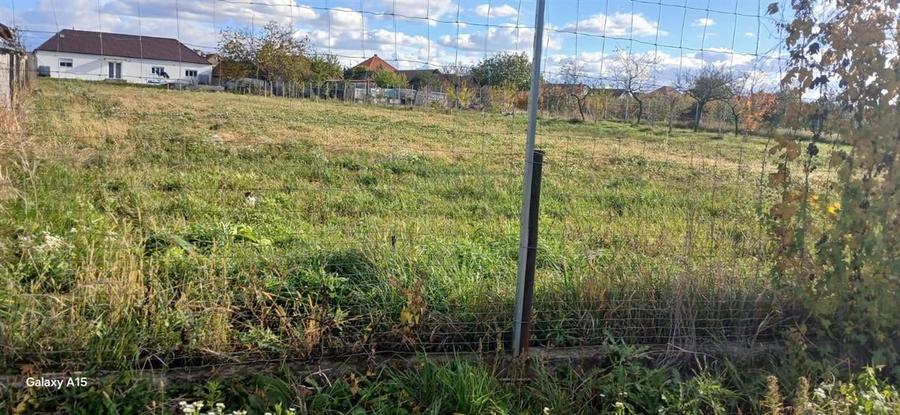 Teren intravilan Biharia - 1