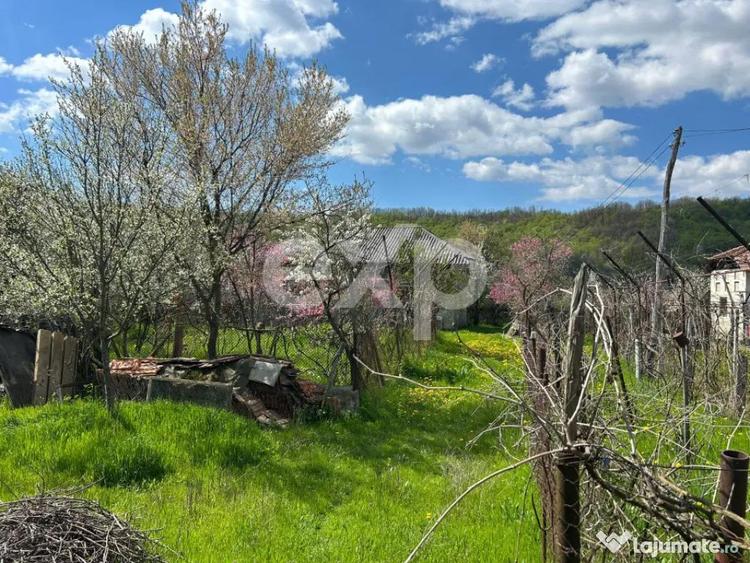 Casa la ?ara cu teren 3940 mp ?i livada zona lini? - 1