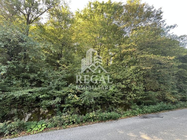 Teren extravilan de vânzare – Lacul Cinciș - 4