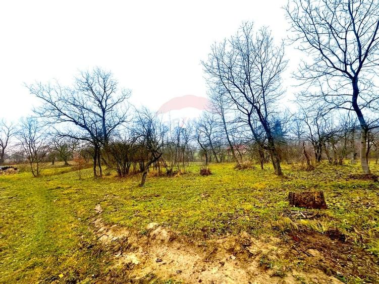 DE VANZARE LOCATIE SUPERBA - 1