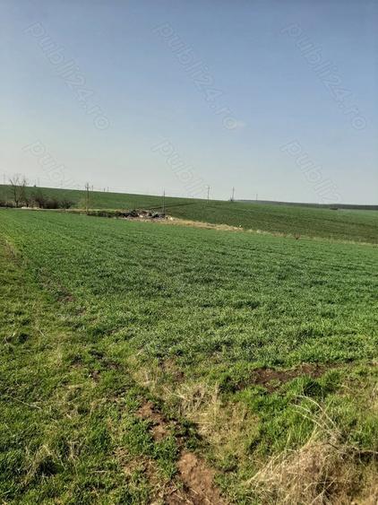 Refugiu la ?ara, aproape de Bucure?ti casa tradi?ionala cu teren 3.113 mp - 8