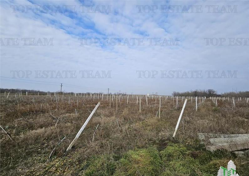 Teren intravilan Harsova - 4