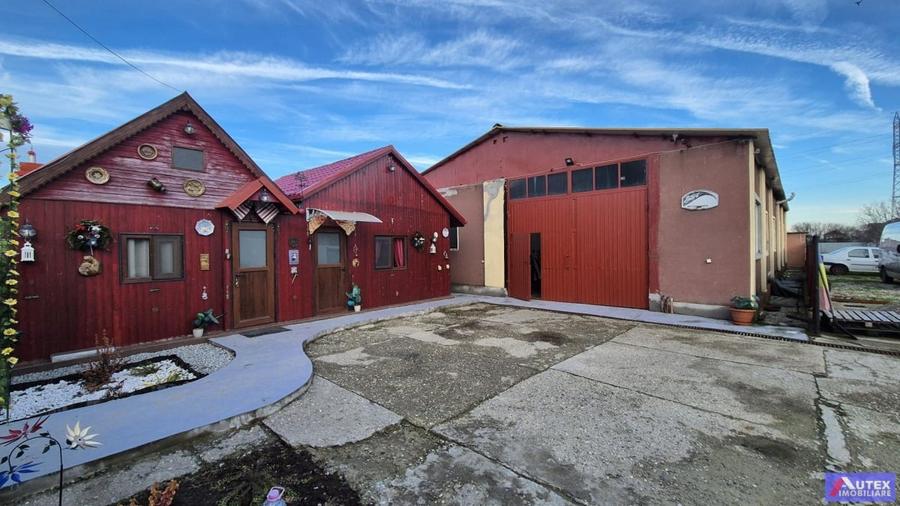 Vanzari Case / Vile Magurele - 1