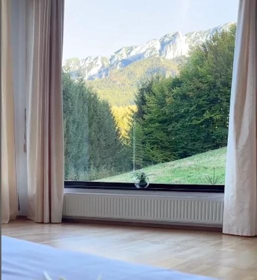 Casă cu Teren 20000 Mp în Plaiul Foii