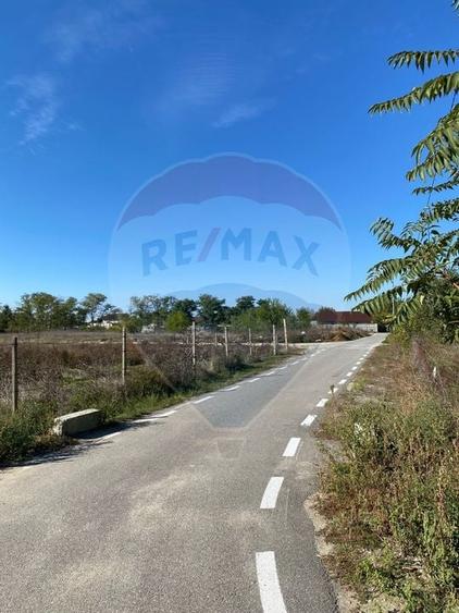 Teren 2,500mp Malu Mare / Strada Bisericii - 6