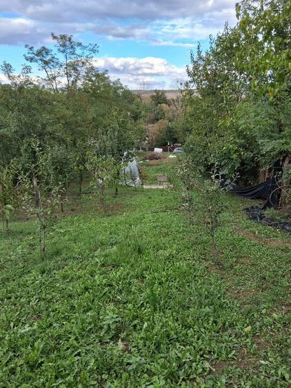 Teren de vanzare - 5