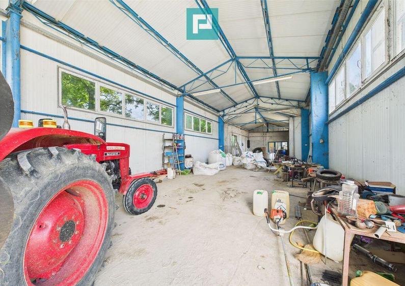 Cladire cu 5 camere cu teren ?i hala in Cenad - 11