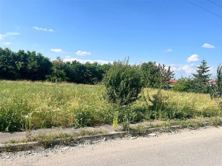 TEREN INTRAVILAN, 1000 mp, HARMAN - 3