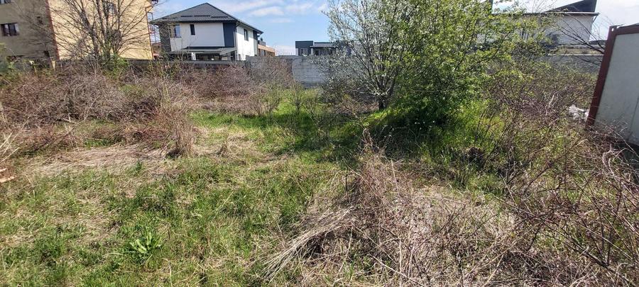 Teren intravilan, 850 mp in str Capricornului, Domnesti, Ilfov - 5