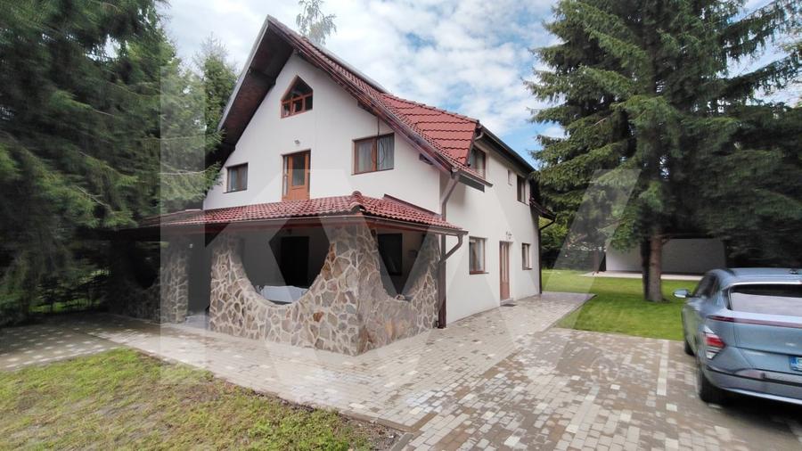 Vila de poveste din Valea Avrigului de vanzare - 2