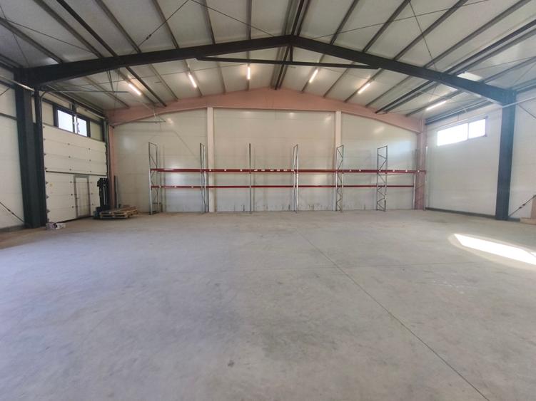 Hala Mosnita Noua 300 mp/5 euro+ TVA - 2