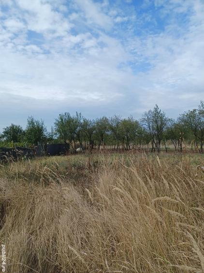 Teren intravilan cu casa - 7