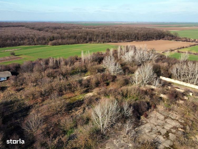 Ferma si livada de meri in judetul Ilfov - 4