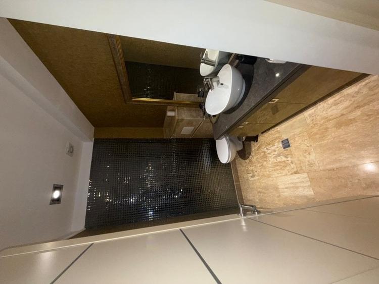 Herăstrău Triplex cu lift în interiorul apartamentului - 6