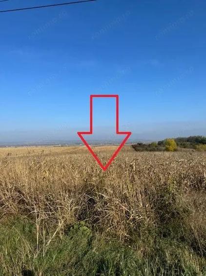 Teren 6.668 mp, de vanzare, loc. BOGDAN VODA, la E-85, com. Saucesti, jud. Bacau - 3