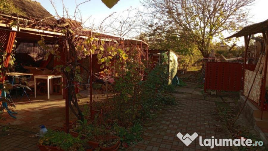 Casa in Craciunelu de Jos str. 6 Martie. - 3