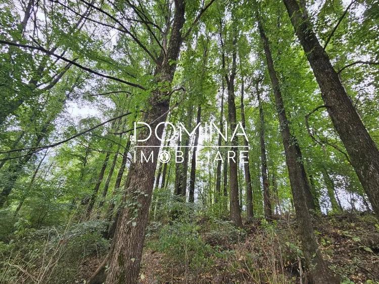 Vanzare teren intravilan suprafa?a 5.822 mp, in Tg. Jiu - cartier Iezureni - 5