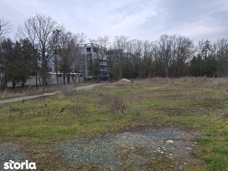 Neptun teren intravilan construibil 1750 mp - 4