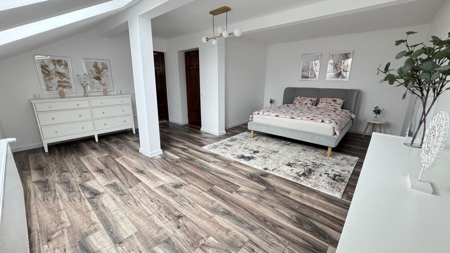 Cocheta,renovata 2024, P+M,in zona linistita de case,strada lata,teren generos - 4