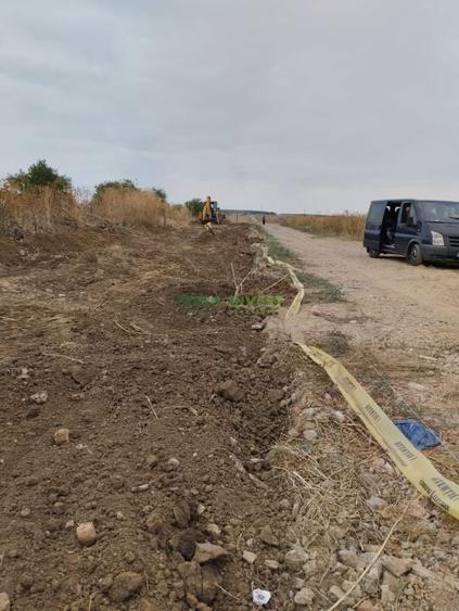 TEREN INDUSTRIAL 20.000 MP - TANGANU - A2 PUZ APROBAT - 12