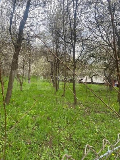 Teren 784 mp, Nistoresti, jud Prahova Teren 784 mp, Nistoresti, jud Prahova
