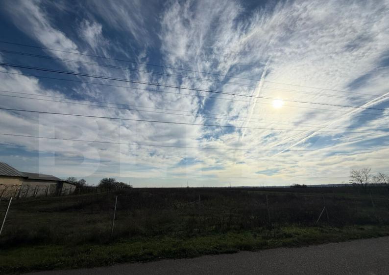 Teren 19.240 mp Geangoesti, Dambovita - 3