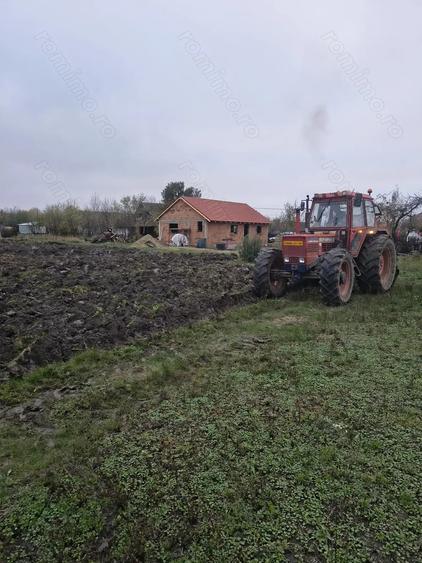 Casa de vanzare in comuna Tormac - 4