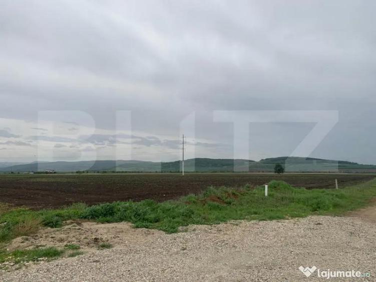 Teren intravilan, 41000 cu PUZ pentru hala, zona Alba-Sebes - 2