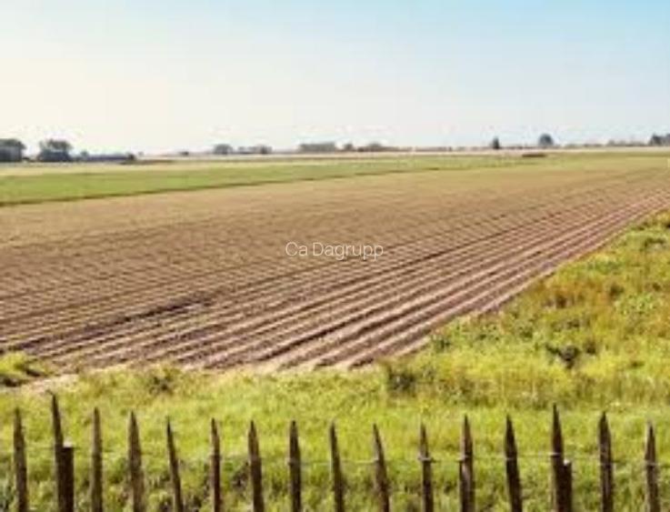 8,45 ha terenuri agricole la Dragotesti judetul Dolj