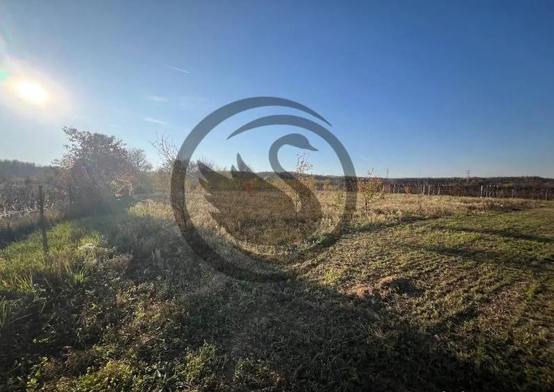 Teren intravilan de vanzare | 12.650 mp | Ghirdoveni, | C... - 12