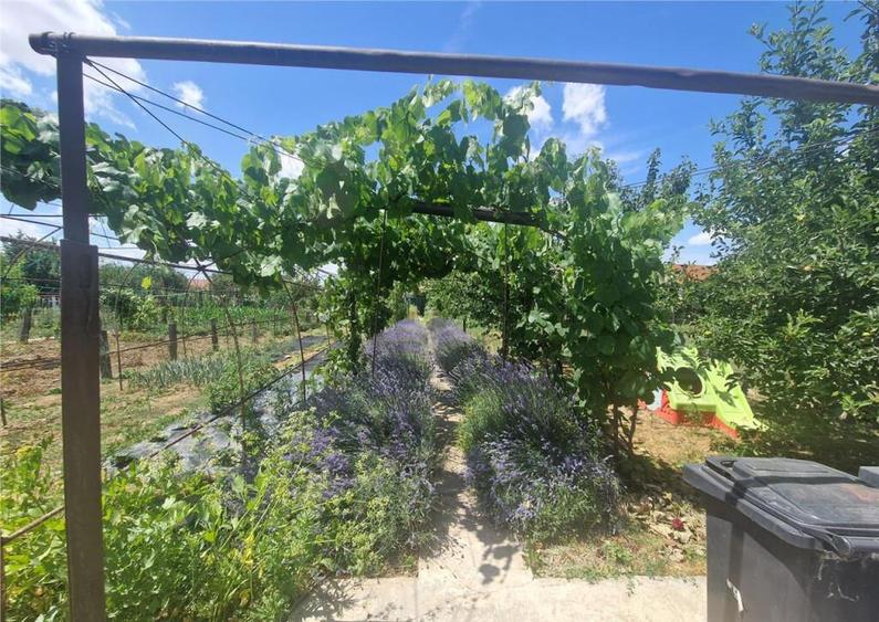 RECO casa in Osorhei - 4