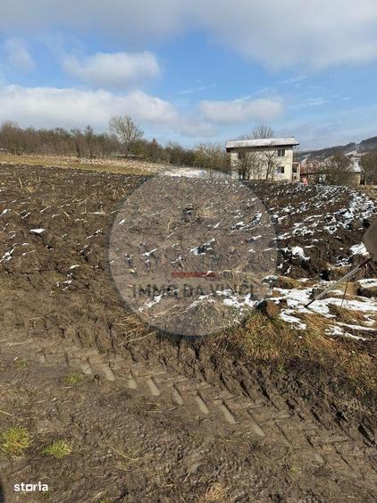 Vanzare teren itravilan Sanmartin,com. Chinteni CJ - 3