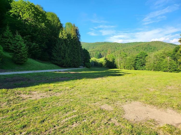 Teren de 12.000 mp la Vama Buzăului – Locație de Vis cu PUZ Aprobat - 10