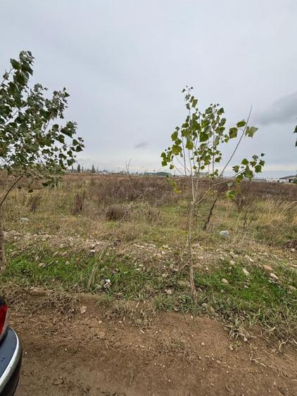 Theodor Pallady, Gura Solcii, 6000mp, vazare teren intravilan - 6