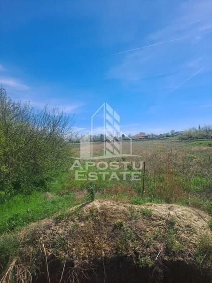 Casa individuala in Cruceni ,la granita cu Serbia - 9