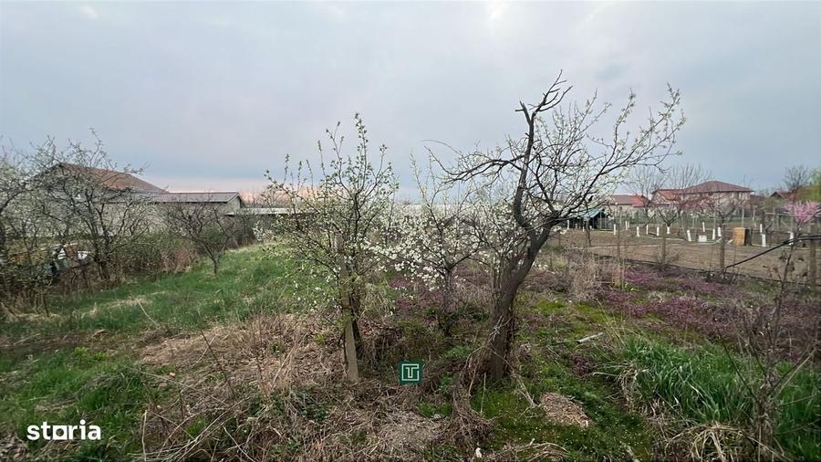 Teren intravilan generos de vanzare in Recas - 7