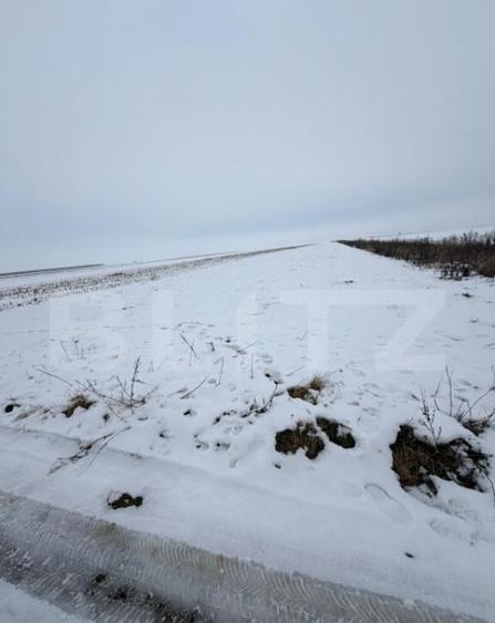 Teren de vanzare, 9000 mp, cartier Izvor - Tarlungeni - 105. - 3