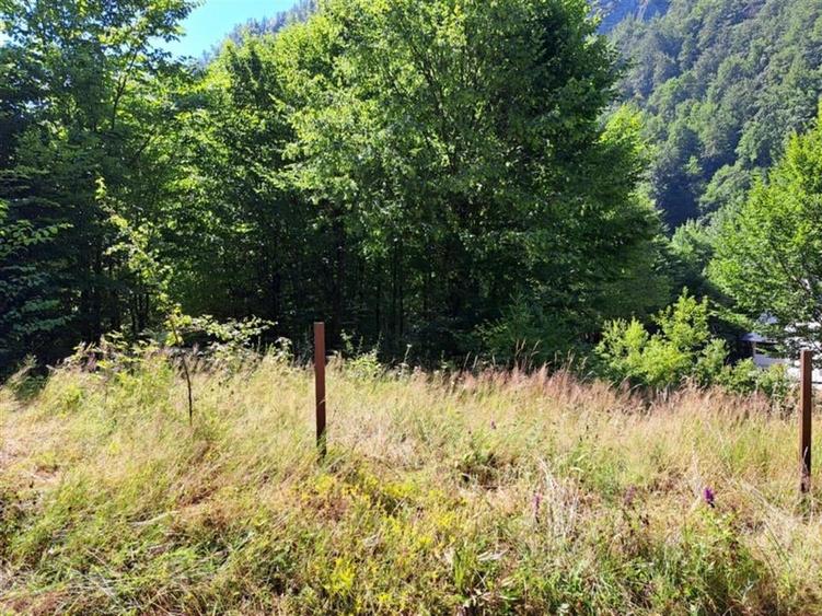 RECO Teren intravilan  Boga - 2