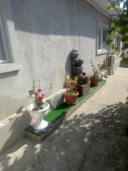 Casa in Coiciu 3 camere teren 265 - 4