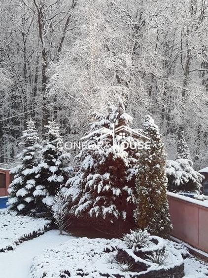 VILA D+P+E+M, 12 camere, piscina , padure, IANCU NICOLAE - 43