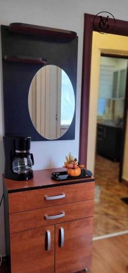 Garsoniera Cismigiu - 4