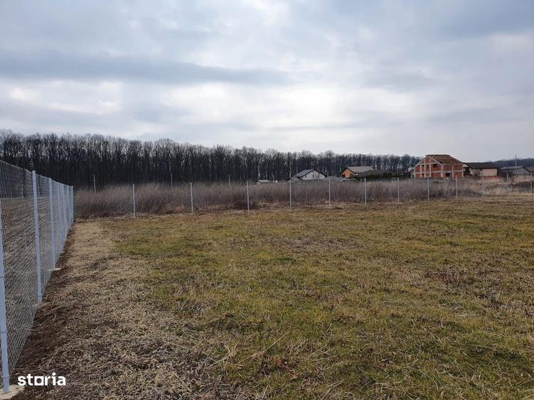 Teren 1500 mp Ghermanesti in proximitatea padurii str Nicopole - 4