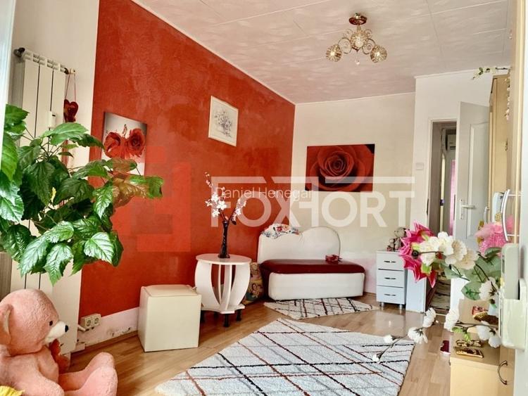 Apartament cu 3 camere, terasa 40 mp Timisoara Apartament cu 3 camere, terasa 40 mp Timisoara