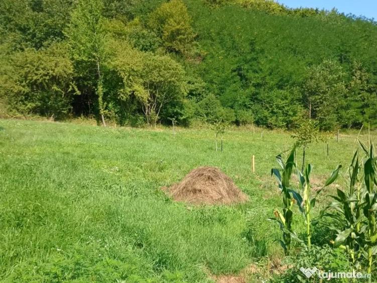 Teren pentru cabana 1084mp - 1