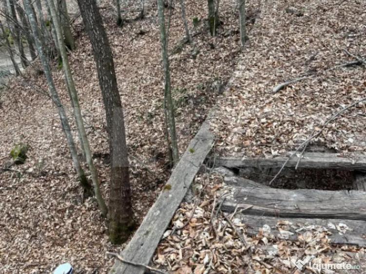 Teren extravilan de vanzare, 3.5 ha padure + pasune in Comun - 2