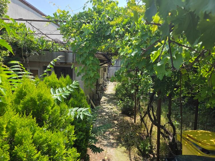 Eroii Revolutiei, spital Marius Nasta , chiar pe Ion Baiulescu, - 2